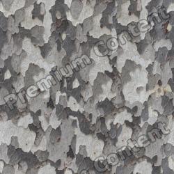 Seamless Tree Bark